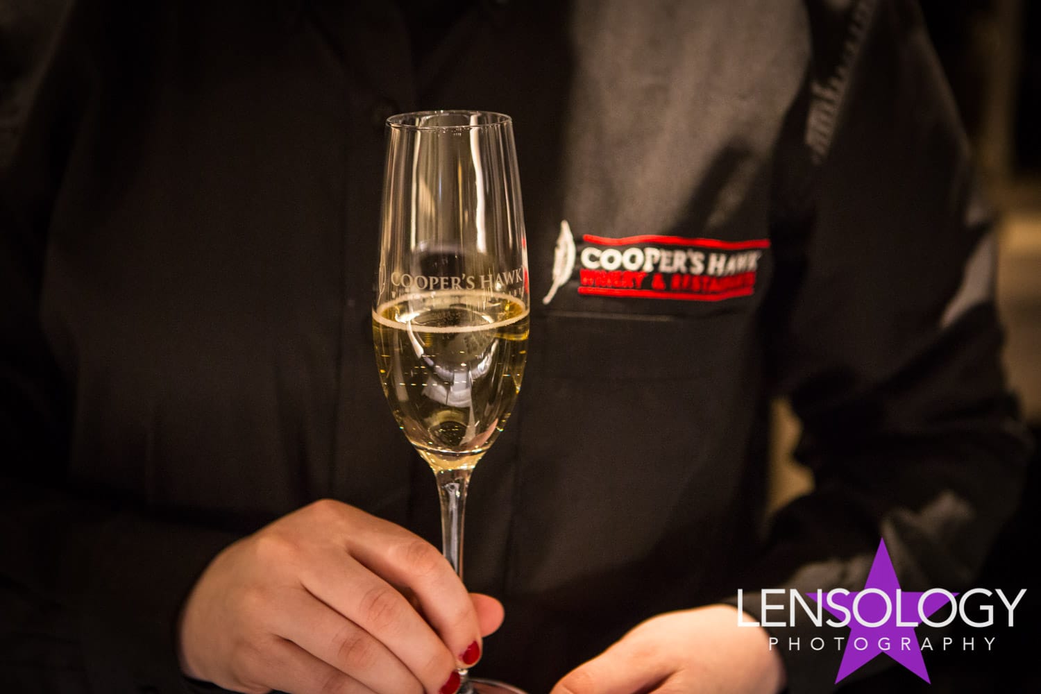 LENSOLOGY.NET - Coopers Hawk restaurant and winery opening, Coconut Creek, FL.
All images are copyright of Lensology.net
Email: info@lensology.net
www.lensology.net