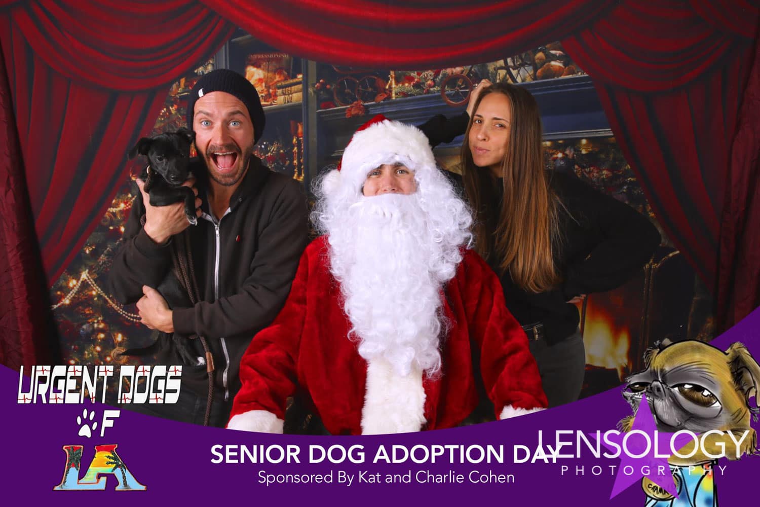 LENSOLOGY.NET - Urgent Dogs Of LA senior dog adoption day, LA, CA.
All images are copyright of Lensology.net
Email: info@lensology.net
www.lensology.net