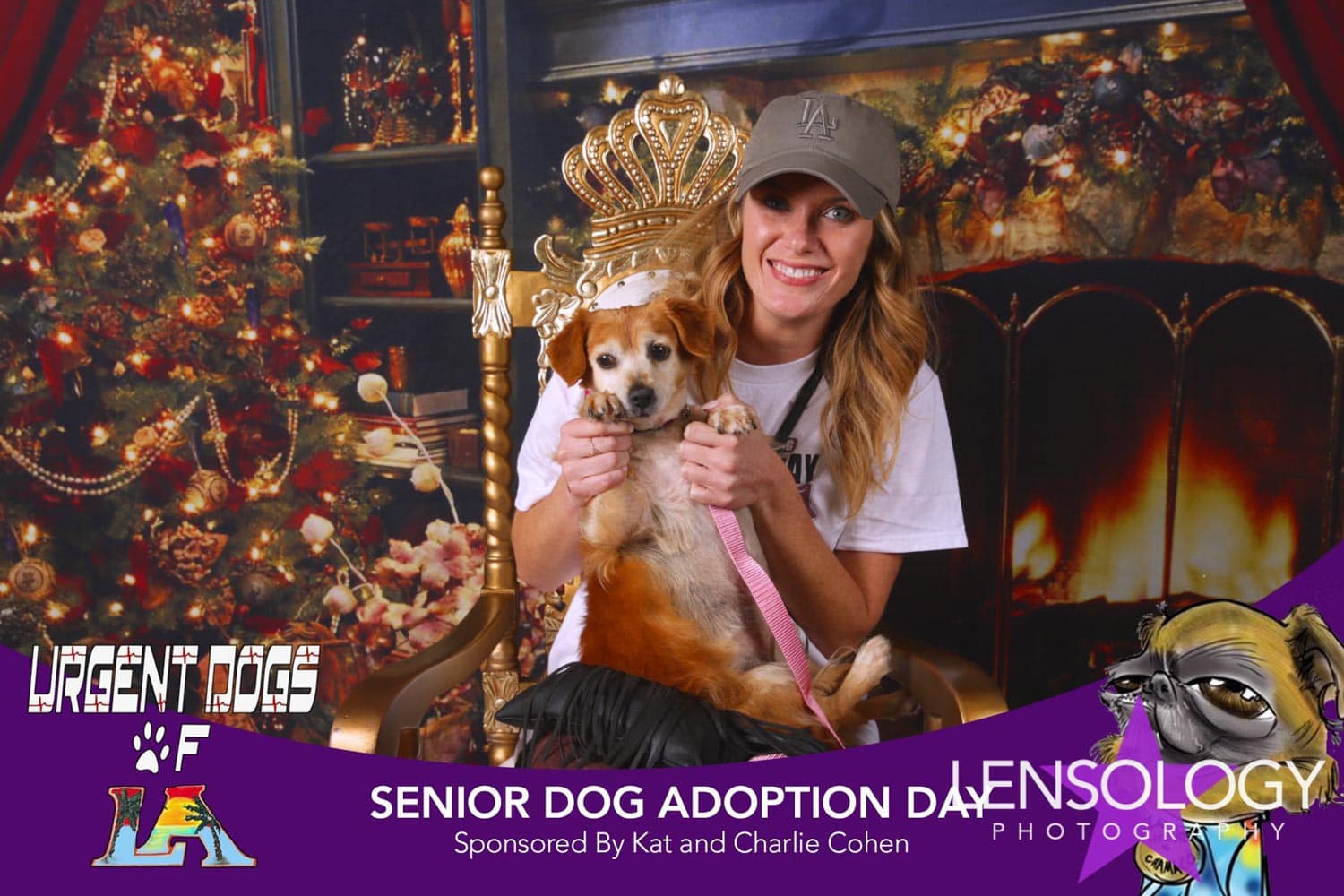 LENSOLOGY.NET - Urgent Dogs Of LA senior dog adoption day, LA, CA.
All images are copyright of Lensology.net
Email: info@lensology.net
www.lensology.net