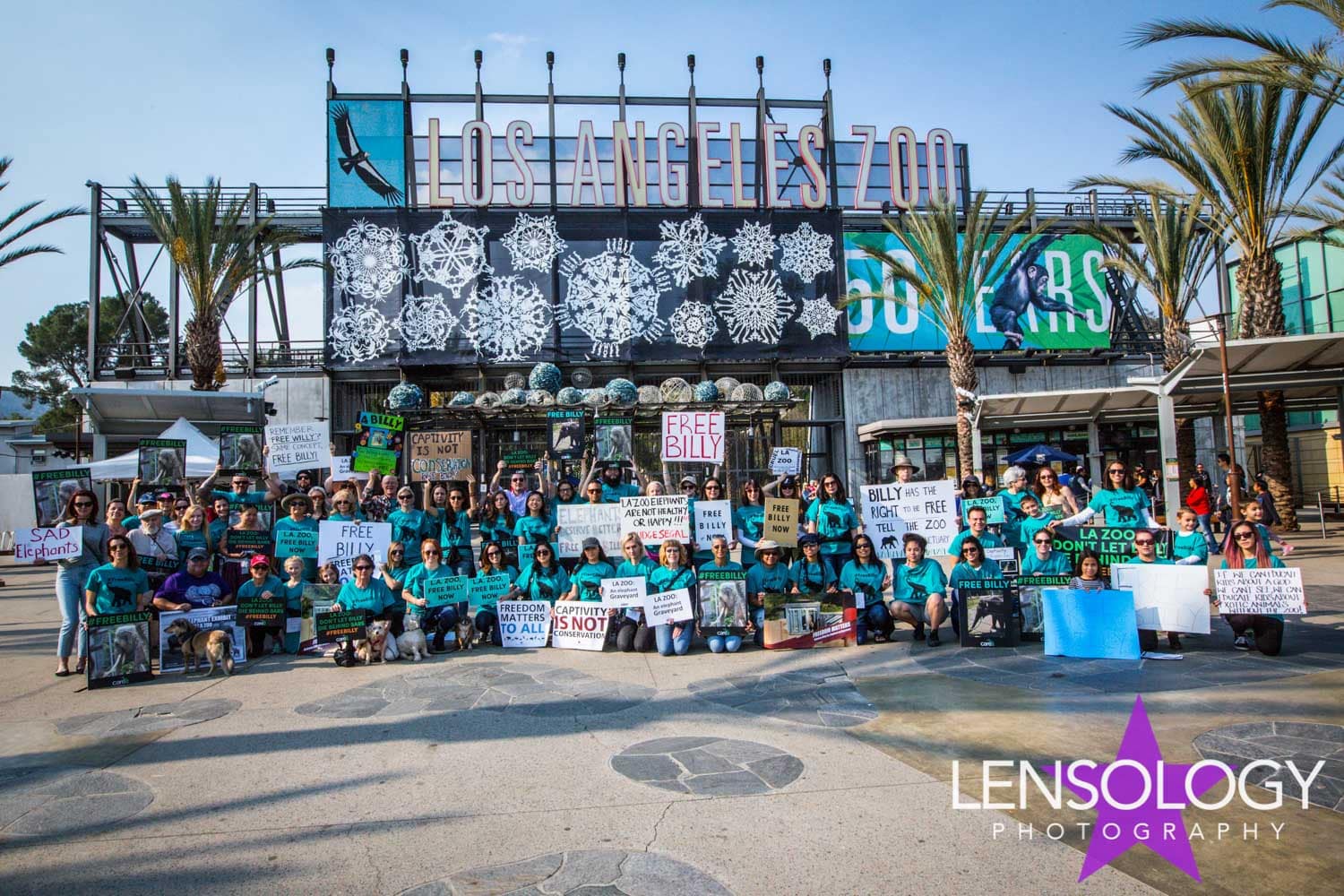 LENSOLOGY.NET - Care2 LA Zoo protest to free Billy The Elephant, LA, CA.
All images are copyright of Lensology.net
Email: info@lensology.net
www.lensology.net