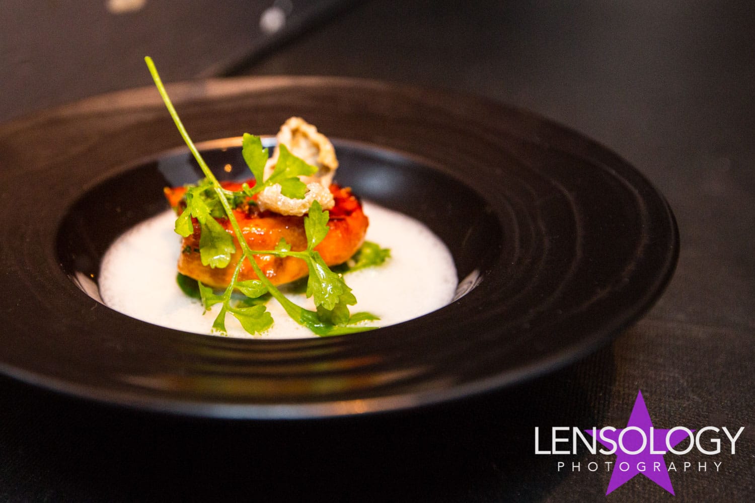 LENSOLOGY.NET - Elite Traveller Magazine dinner event, LA, CA.
All images are copyright of Lensology.net
Email: info@lensology.net
www.lensology.net