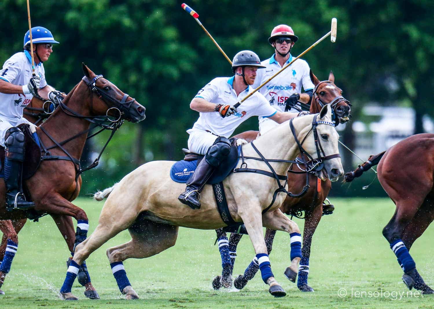 LENSOLOGY.NET - Prince Harry participates at the Sentebale Polo Cup, wellington, FL.
All images are copyright of Lensology.net
Email: info@lensology.net
www.lensology.net